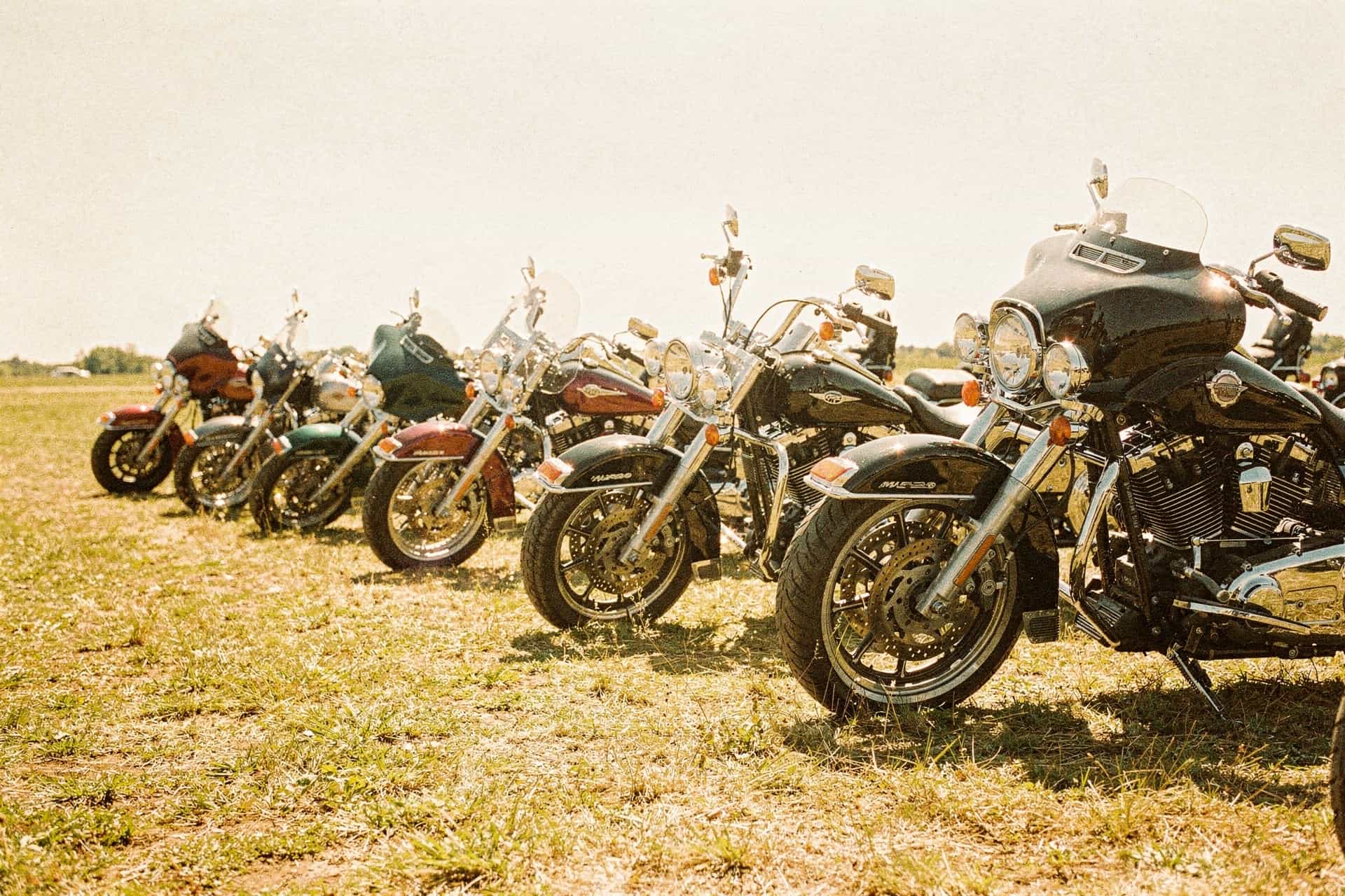 Pagans MC: 1959 Founding, Surtur Patch, Chapters & Rivals