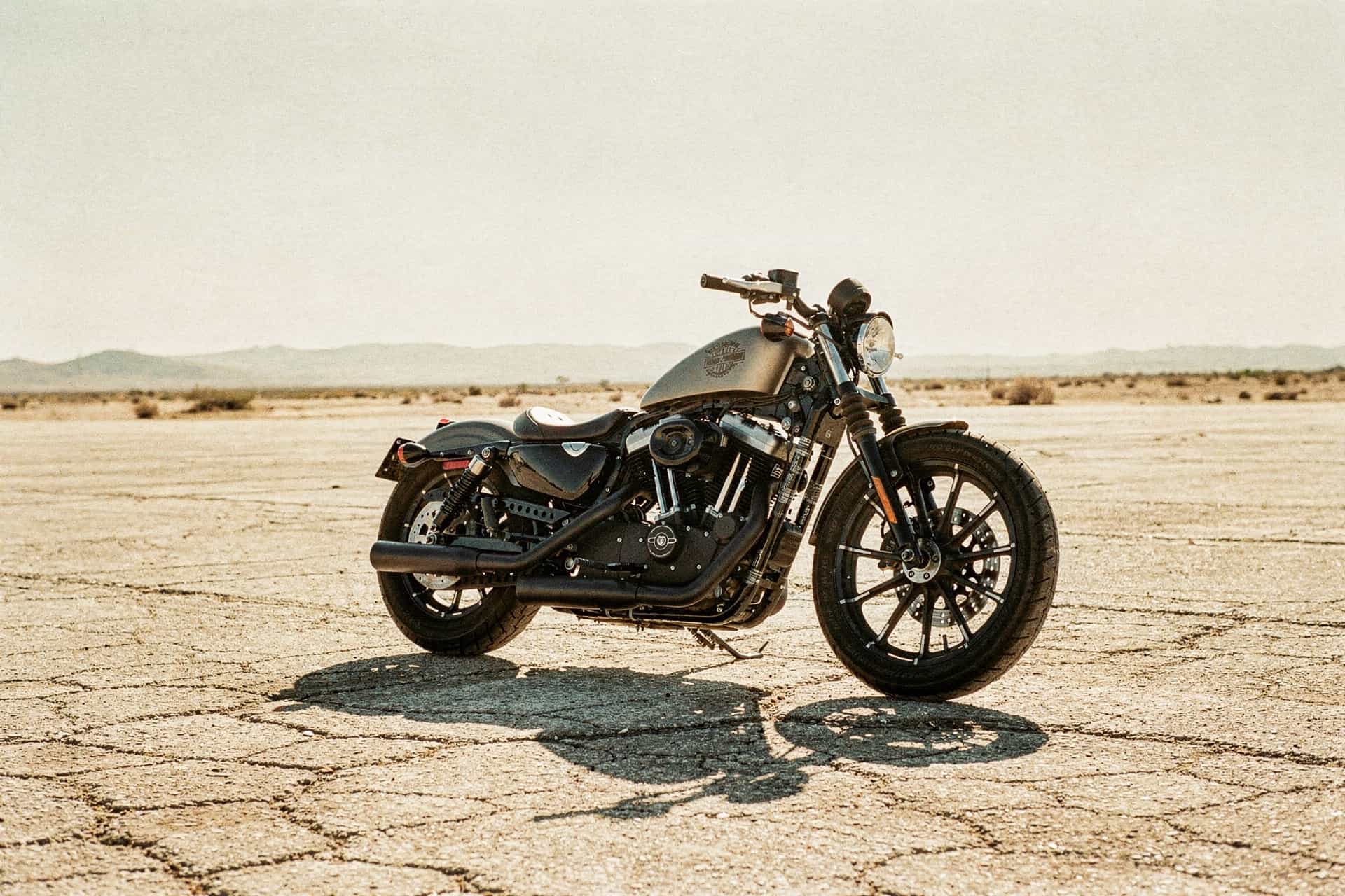 Best Harley Bobber Builds: Sportster, Softail, Shovelhead
