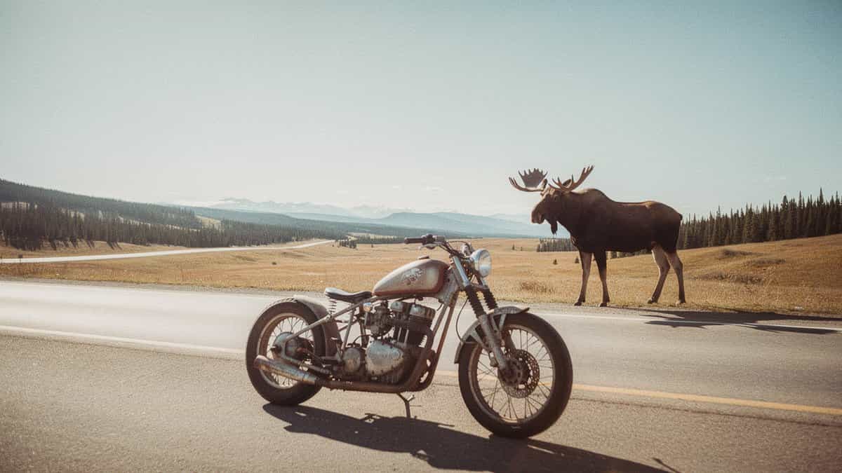 Canada motorcycle t-shirt and bobber apparel design by Bobber Brothers